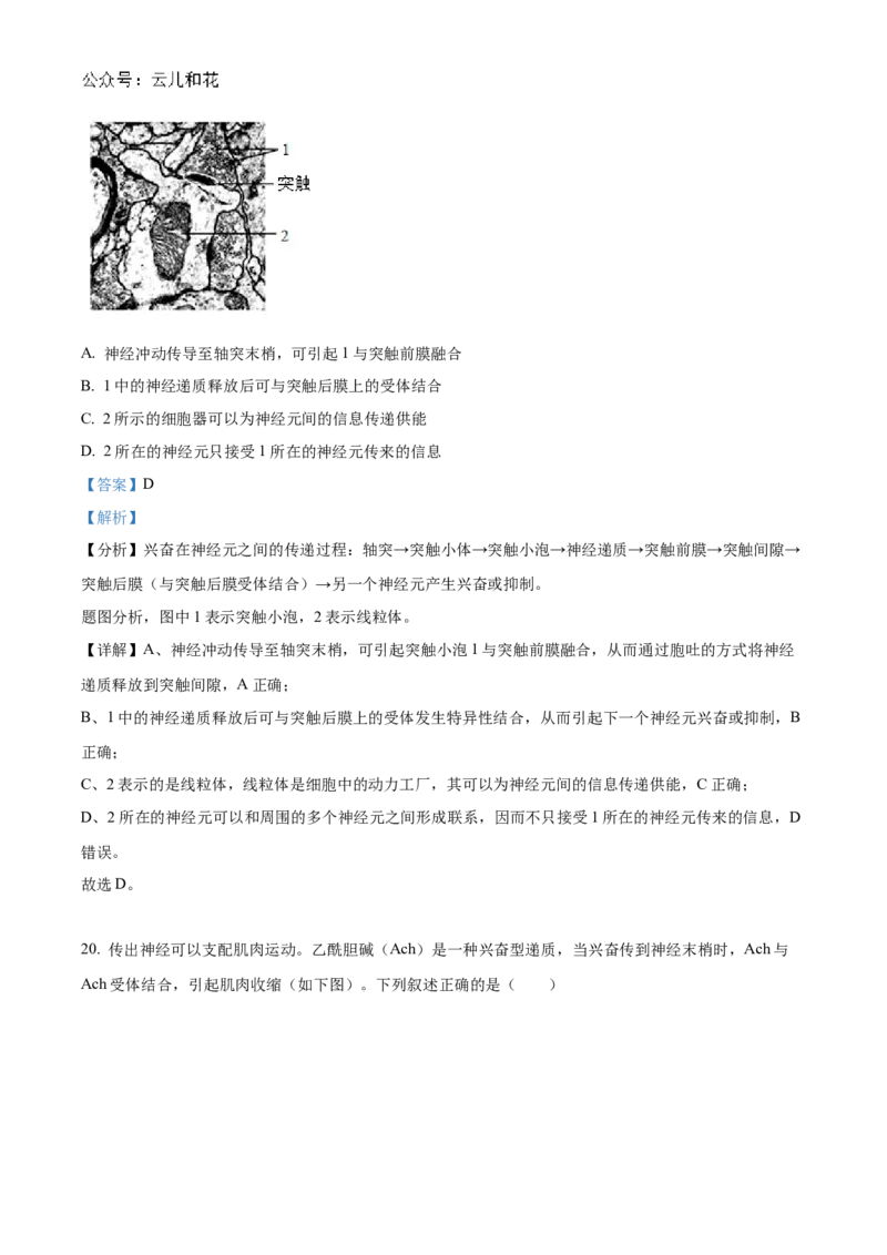 北京市海淀区北京理工大学附属中学2024-2025学年高二上学期10月月考生物试题Word版含解析_2024-2025高二（7-7月题库）_2024年11月试卷