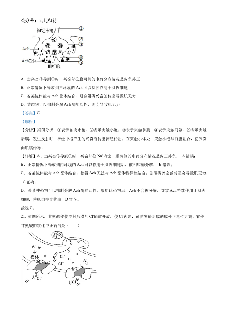 北京市海淀区北京理工大学附属中学2024-2025学年高二上学期10月月考生物试题Word版含解析_2024-2025高二（7-7月题库）_2024年11月试卷
