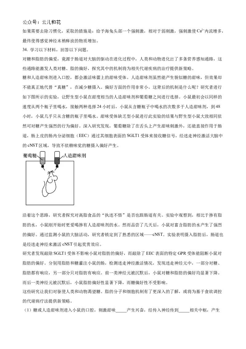 北京市海淀区北京理工大学附属中学2024-2025学年高二上学期10月月考生物试题Word版含解析_2024-2025高二（7-7月题库）_2024年11月试卷
