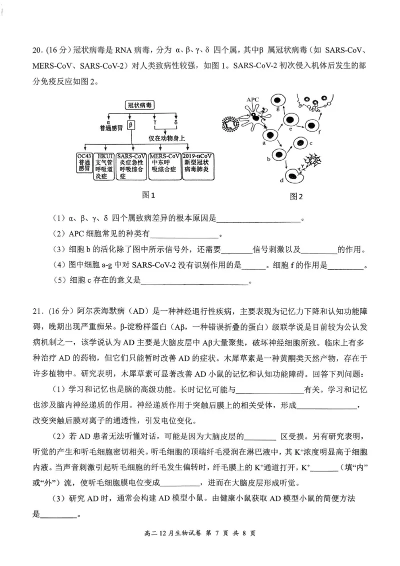 2025年高二年级12月考试生物试卷_2024-2025高二（7-7月题库）_2026年1月高二_260101湖北省云学联盟2025-2026学年高二上学期12月考试