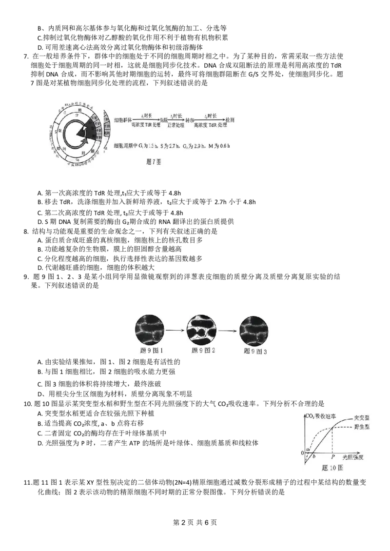 2024年普通高等学校招生全国统一考试高三11月调研测试卷生物试题(1)_2023年11月_0211月合集_2024届重庆半期统考普通高等学校招生全国统一考试高三11月调研卷（康德卷）
