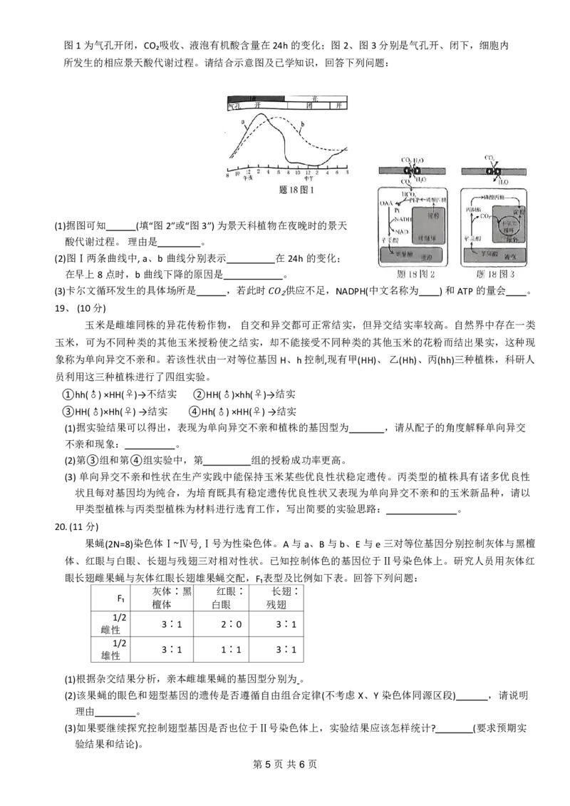 2024年普通高等学校招生全国统一考试高三11月调研测试卷生物试题(1)_2023年11月_0211月合集_2024届重庆半期统考普通高等学校招生全国统一考试高三11月调研卷（康德卷）