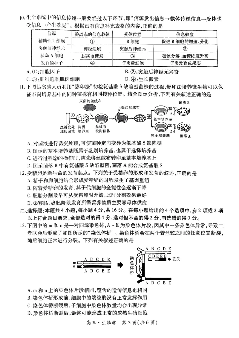 2025届江西省上进联考&ldquo;红色十校&rdquo;高三第一次联考-生物试卷+答案_2024-2025高三（6-6月题库）_2024年09月试卷_0923江西省红色十校2025届高三上学期第一次联考