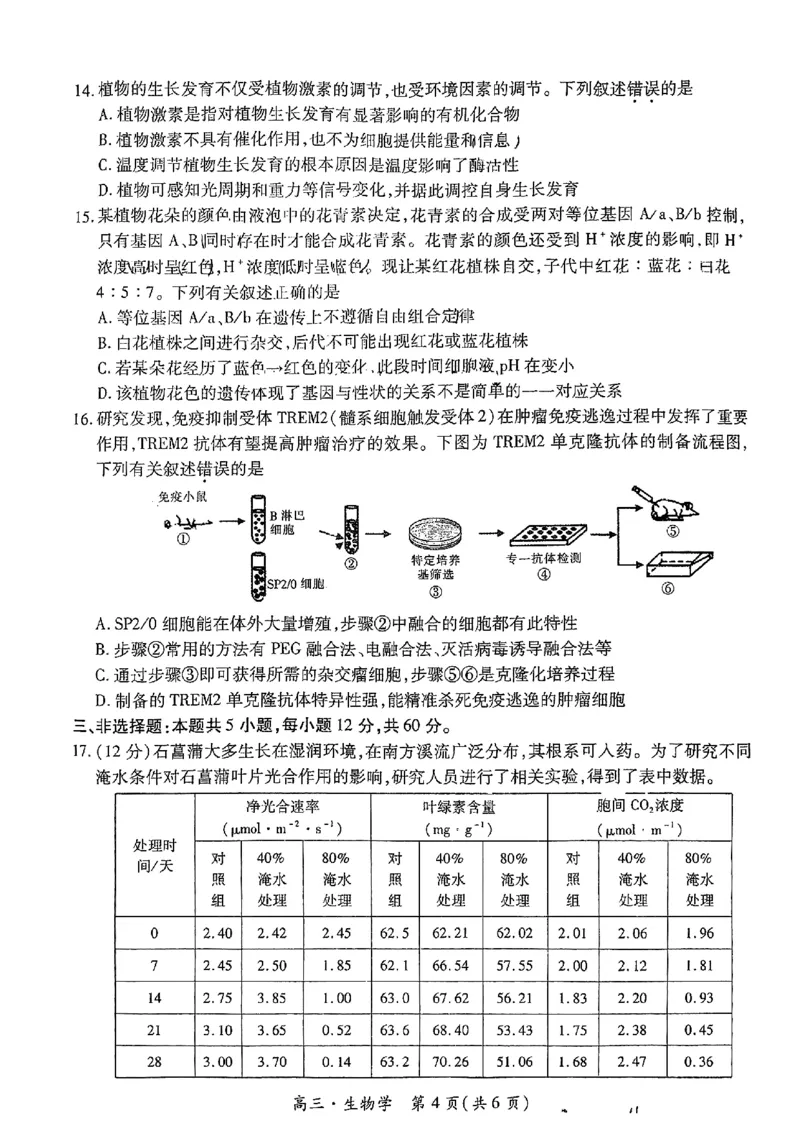 2025届江西省上进联考&ldquo;红色十校&rdquo;高三第一次联考-生物试卷+答案_2024-2025高三（6-6月题库）_2024年09月试卷_0923江西省红色十校2025届高三上学期第一次联考