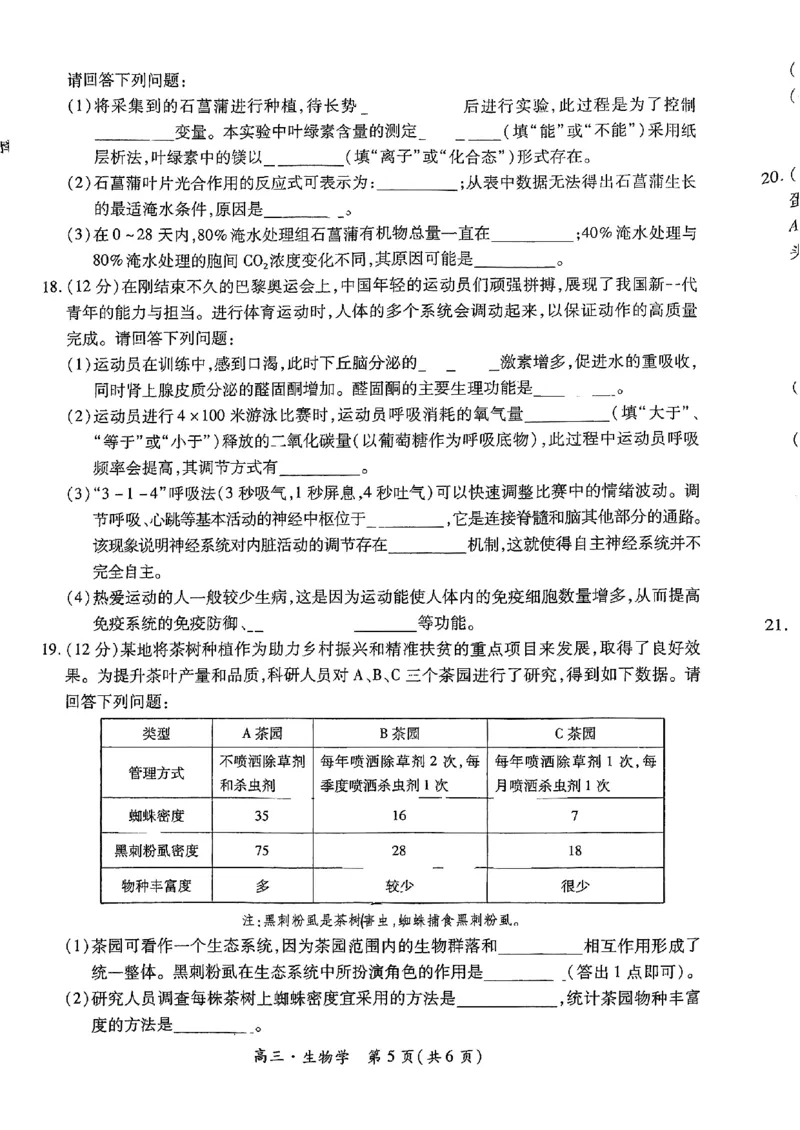 2025届江西省上进联考&ldquo;红色十校&rdquo;高三第一次联考-生物试卷+答案_2024-2025高三（6-6月题库）_2024年09月试卷_0923江西省红色十校2025届高三上学期第一次联考