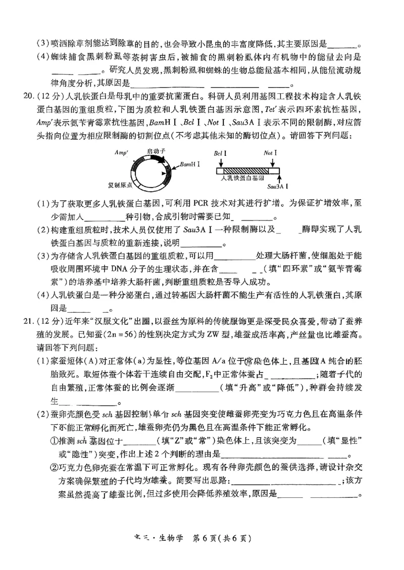 2025届江西省上进联考&ldquo;红色十校&rdquo;高三第一次联考-生物试卷+答案_2024-2025高三（6-6月题库）_2024年09月试卷_0923江西省红色十校2025届高三上学期第一次联考