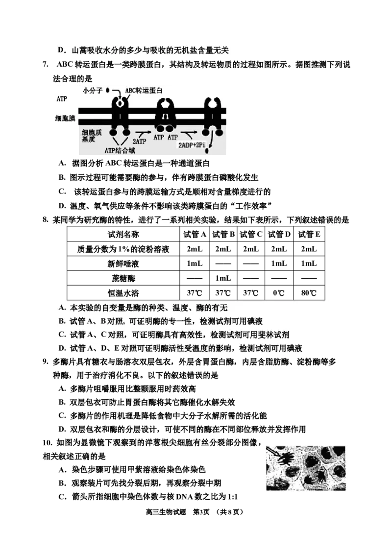 2024届生物一模(1)(1)_2023年11月_0211月合集_2024届吉林省吉林市高三上学期第一次模拟考试_吉林省吉林市2024届高三上学期第一次模拟考试生物