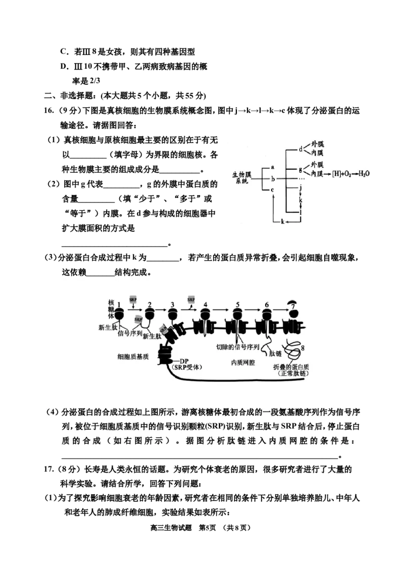 2024届生物一模(1)(1)_2023年11月_0211月合集_2024届吉林省吉林市高三上学期第一次模拟考试_吉林省吉林市2024届高三上学期第一次模拟考试生物