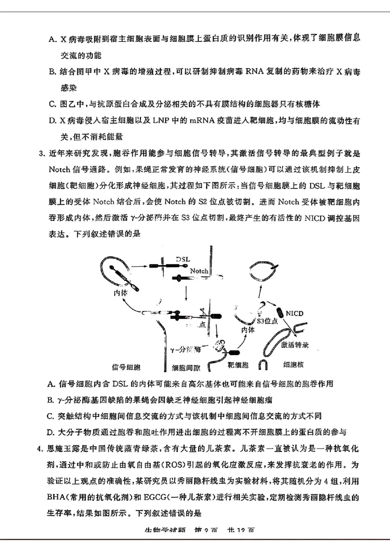 湖北省2024届高三下学期第二次学业质量评价生物试题_2024年3月_013月合集_2024届八省八校T8联考高三第二次学业质量评价_2024届八省八校T8联考高三第二次学业质量评价生物试题