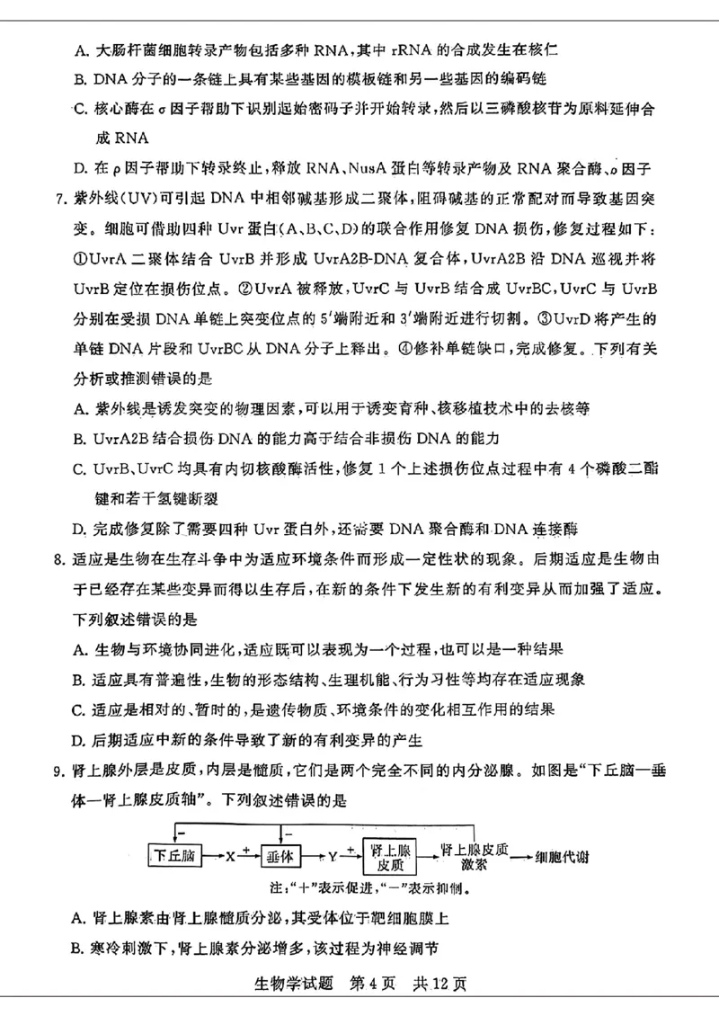 湖北省2024届高三下学期第二次学业质量评价生物试题_2024年3月_013月合集_2024届八省八校T8联考高三第二次学业质量评价_2024届八省八校T8联考高三第二次学业质量评价生物试题