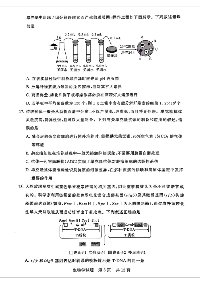 湖北省2024届高三下学期第二次学业质量评价生物试题_2024年3月_013月合集_2024届八省八校T8联考高三第二次学业质量评价_2024届八省八校T8联考高三第二次学业质量评价生物试题