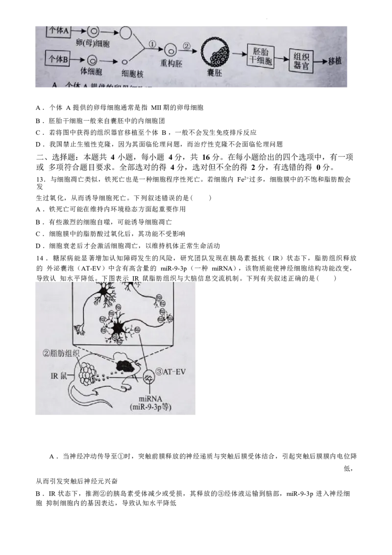 湖南卷湖南省永州市2024年(届)高三年级高考第三次模拟考试(永州三模)(4.22-4.24)生物试卷+答案_2024年4月_01按日期_30号_2024届湖南省永州市高三第三次模拟考试