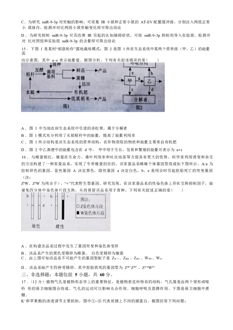 湖南卷湖南省永州市2024年(届)高三年级高考第三次模拟考试(永州三模)(4.22-4.24)生物试卷+答案_2024年4月_01按日期_30号_2024届湖南省永州市高三第三次模拟考试