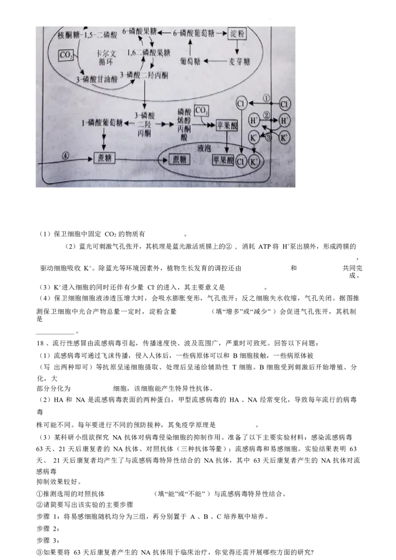 湖南卷湖南省永州市2024年(届)高三年级高考第三次模拟考试(永州三模)(4.22-4.24)生物试卷+答案_2024年4月_01按日期_30号_2024届湖南省永州市高三第三次模拟考试