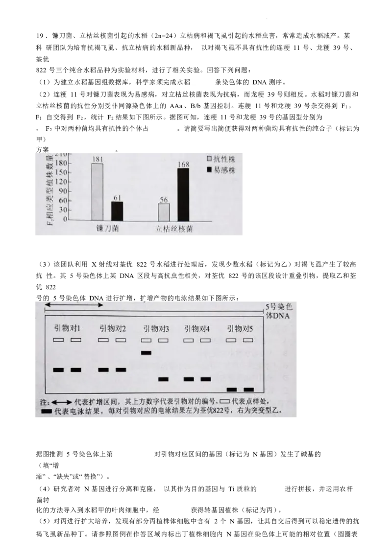 湖南卷湖南省永州市2024年(届)高三年级高考第三次模拟考试(永州三模)(4.22-4.24)生物试卷+答案_2024年4月_01按日期_30号_2024届湖南省永州市高三第三次模拟考试