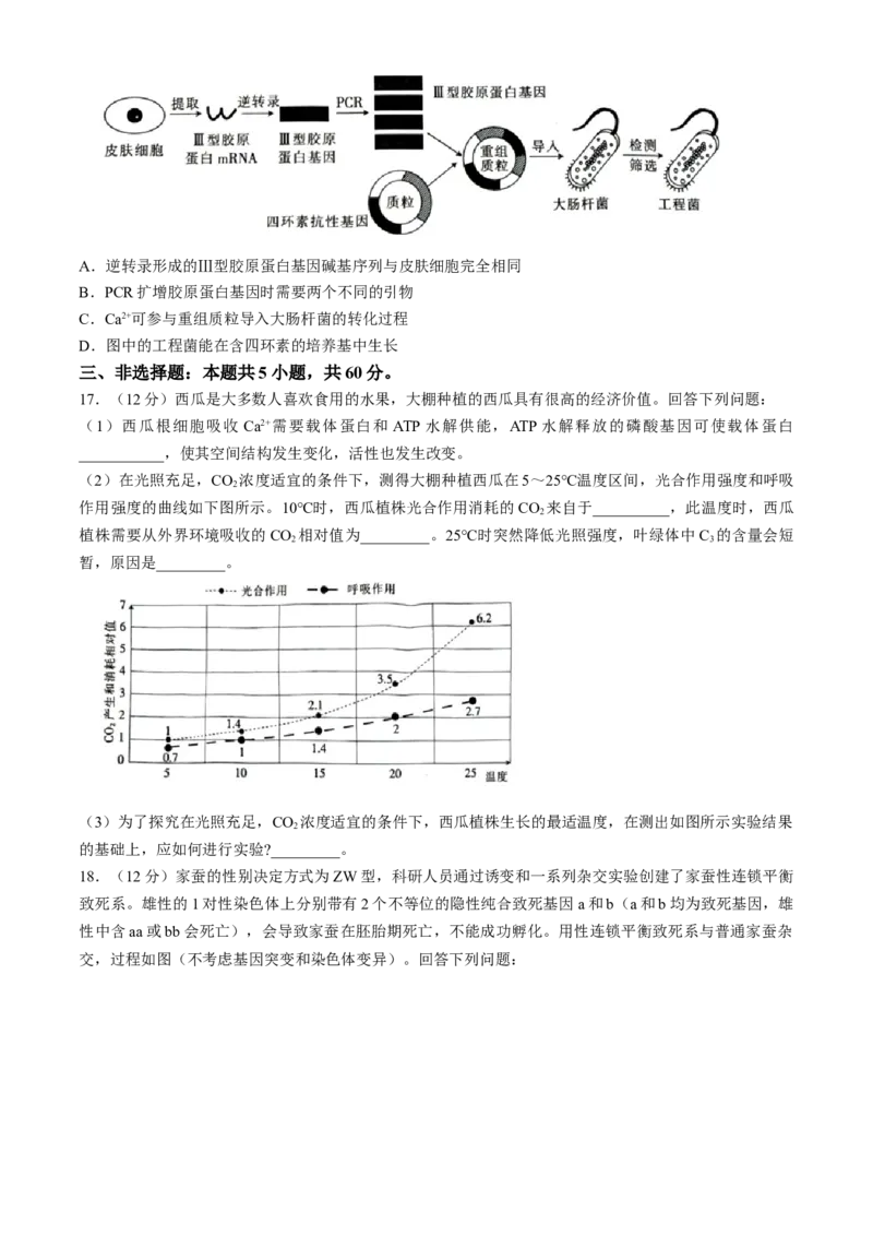 江西省2024届高三4月月考生物试题(无答案)_2024年5月_01按日期_1号_2024届江西稳派高三二轮复习验收考试_江西稳派2023-2024学年高三二轮复习验收考试生物