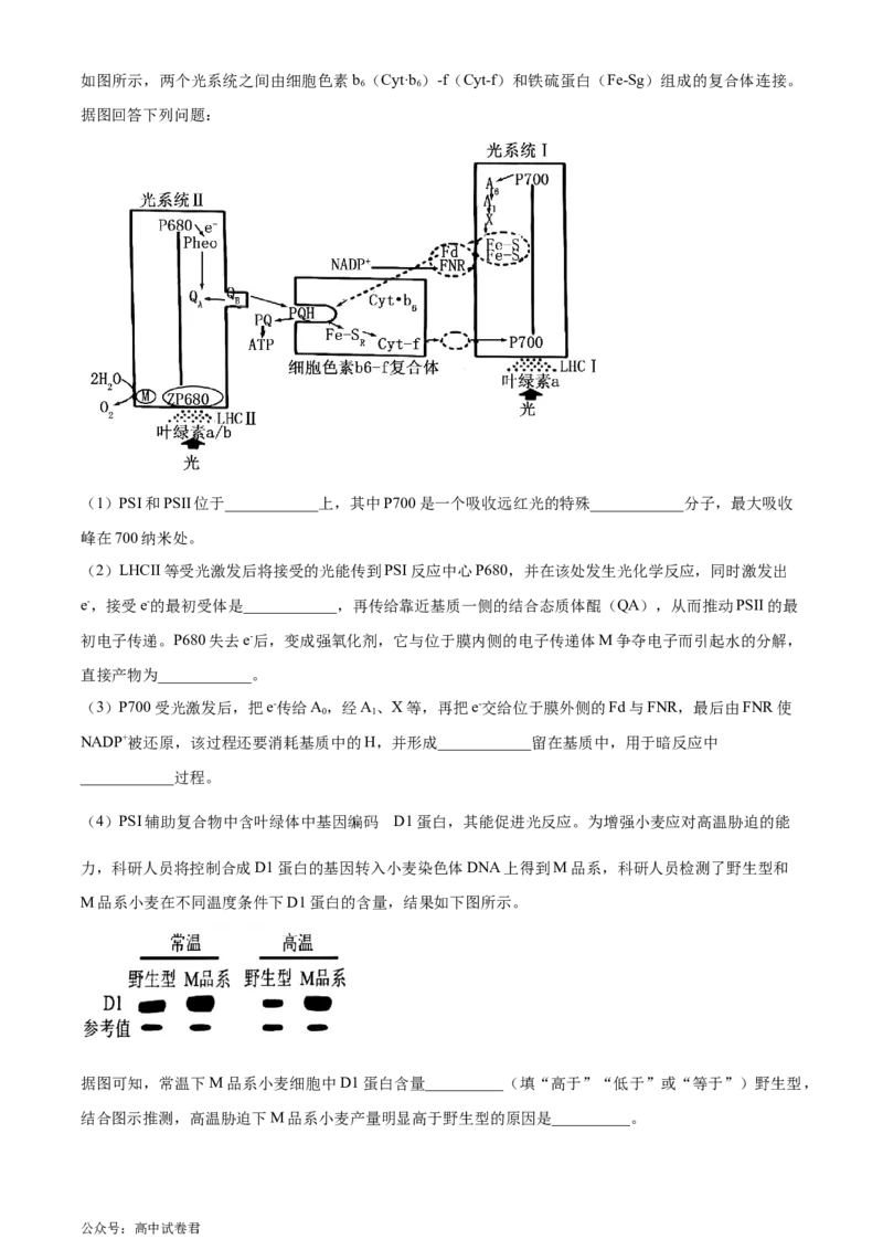 浙江省9+1联盟2024届高三下学期3月联考生物试题（原卷版）_2024年4月_01按日期_3号_2024届浙江省9+1联盟高三下学期3月模拟预测_浙江省9+1高中联盟2023-2024学年高三下学期3月联考生物