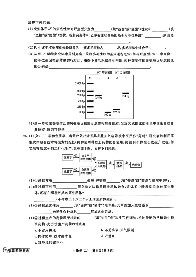2025届辽宁省名校联盟高三下学期高考模拟卷押题卷生物学（二）试题_2024-2025高三（6-6月题库）_2025年05月试卷_0508辽宁省名校联盟2025年高考模拟卷押题卷（数物化生）