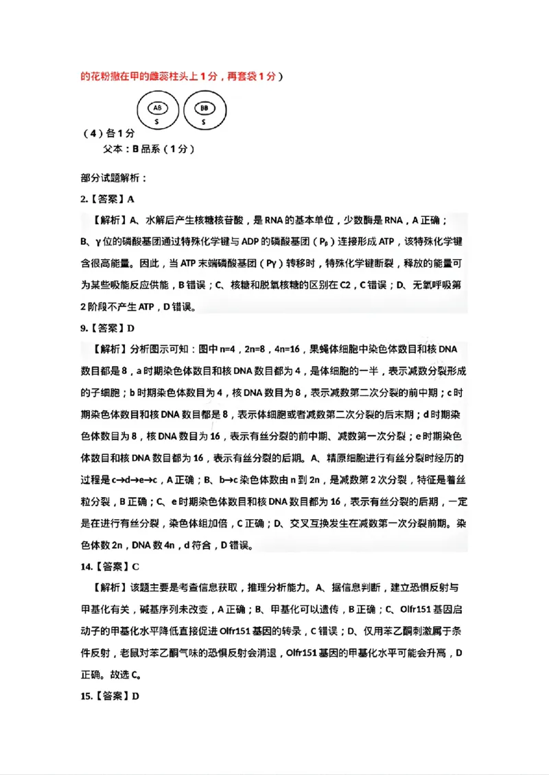 2025届吉林省普通高中高三上学期一模考试生物学+答案_2024-2025高三（6-6月题库）_2024年10月试卷_10282025届吉林省吉林市普通中学高三上学期一模考试