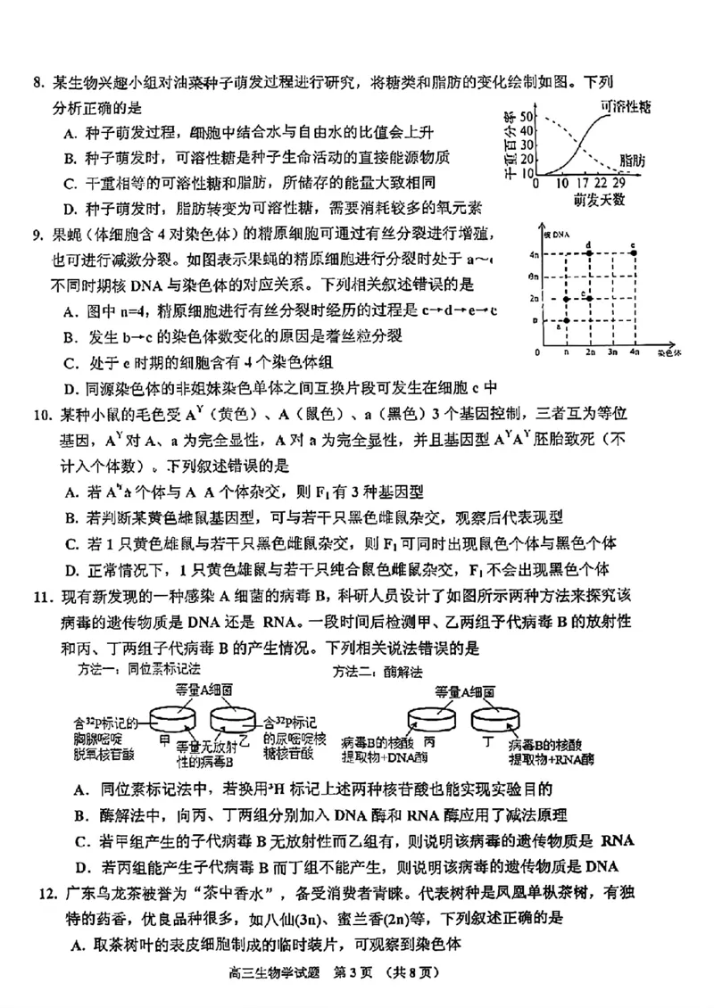 2025届吉林省普通高中高三上学期一模考试生物学+答案_2024-2025高三（6-6月题库）_2024年10月试卷_10282025届吉林省吉林市普通中学高三上学期一模考试