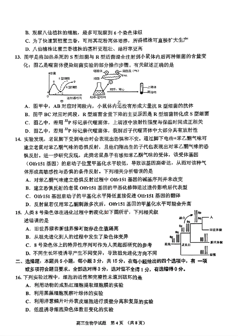2025届吉林省普通高中高三上学期一模考试生物学+答案_2024-2025高三（6-6月题库）_2024年10月试卷_10282025届吉林省吉林市普通中学高三上学期一模考试