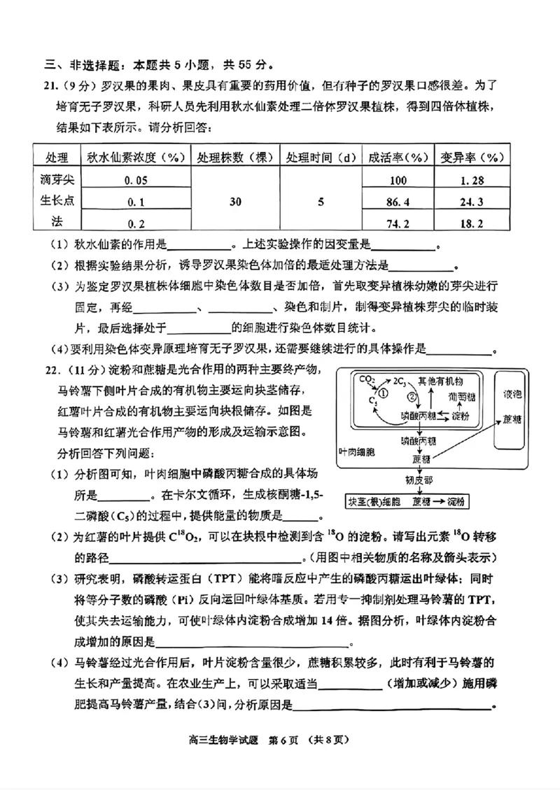 2025届吉林省普通高中高三上学期一模考试生物学+答案_2024-2025高三（6-6月题库）_2024年10月试卷_10282025届吉林省吉林市普通中学高三上学期一模考试