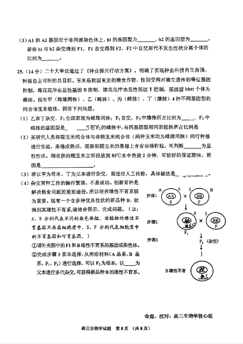 2025届吉林省普通高中高三上学期一模考试生物学+答案_2024-2025高三（6-6月题库）_2024年10月试卷_10282025届吉林省吉林市普通中学高三上学期一模考试