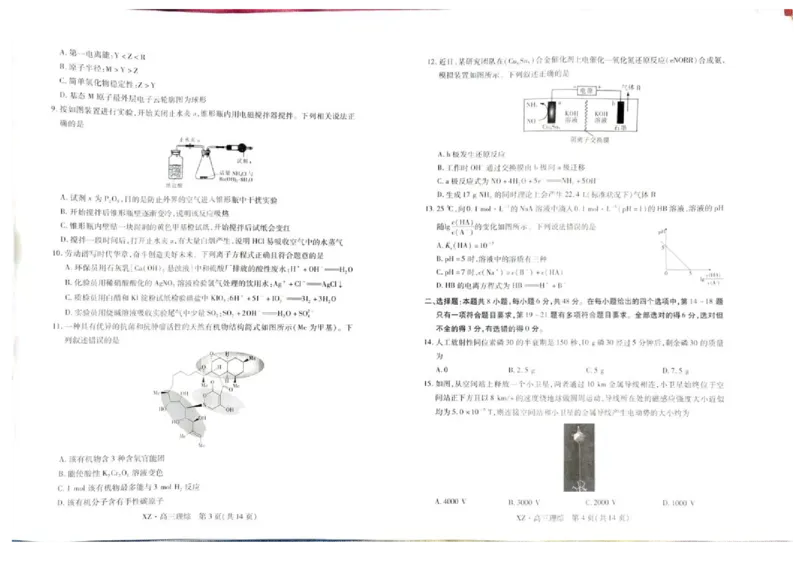 2025届西藏自治区拉萨市高三一模理综试题_2024-2025高三（6-6月题库）_2024年12月试卷_12162025届西藏自治区拉萨市高三一模