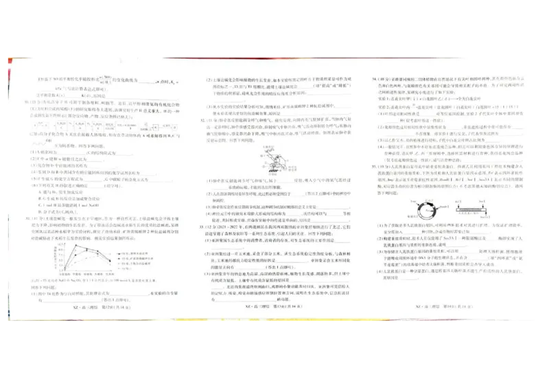 2025届西藏自治区拉萨市高三一模理综试题_2024-2025高三（6-6月题库）_2024年12月试卷_12162025届西藏自治区拉萨市高三一模