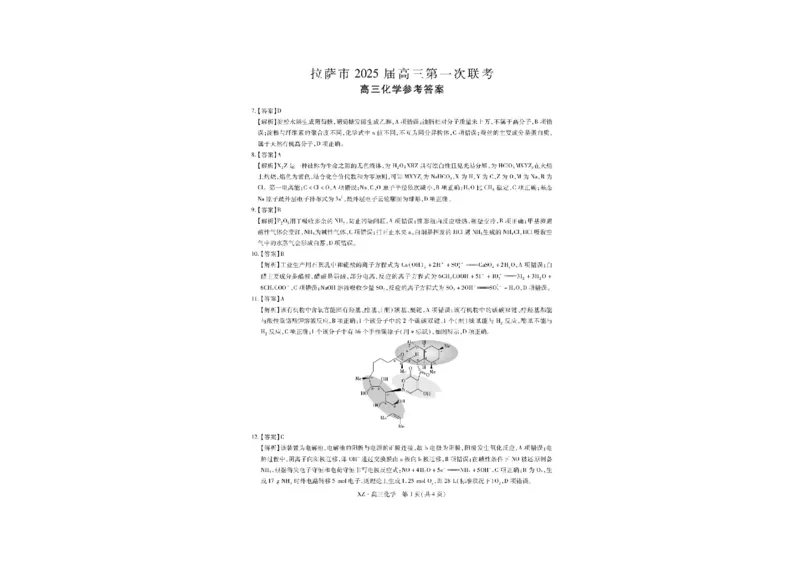 2025届西藏自治区拉萨市高三一模理综试题_2024-2025高三（6-6月题库）_2024年12月试卷_12162025届西藏自治区拉萨市高三一模