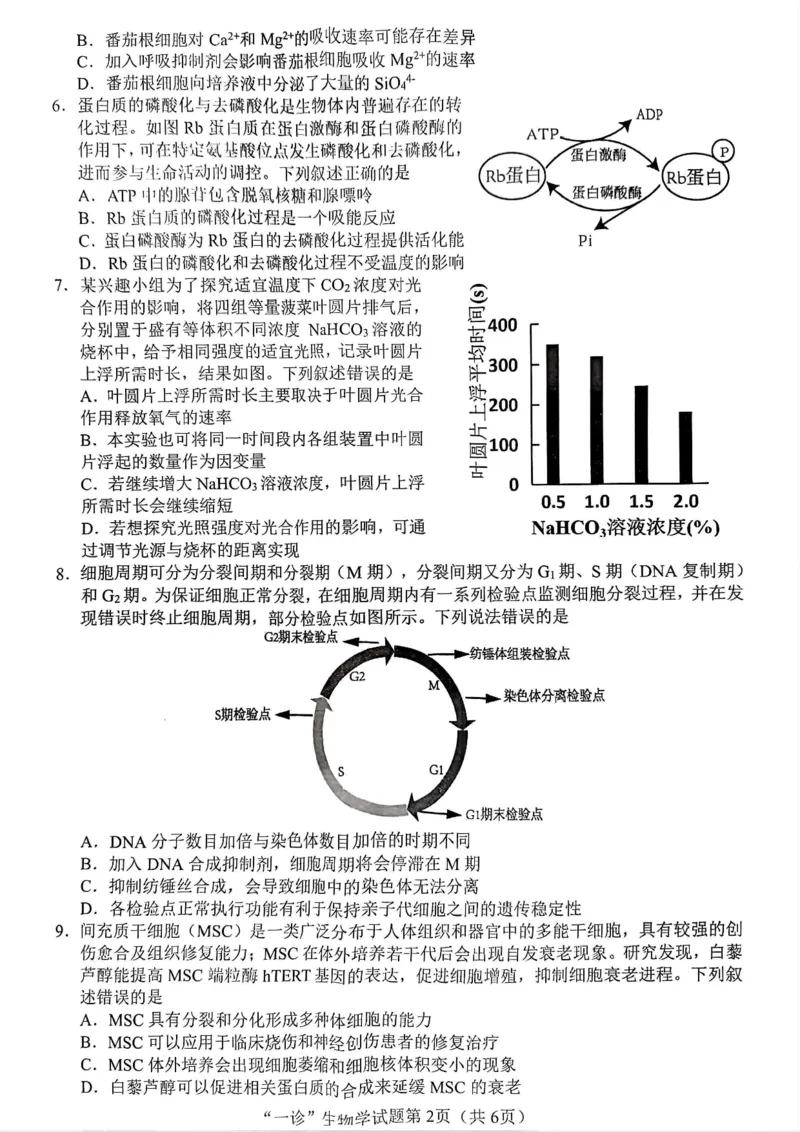 2025届四川省南充市高三第一次诊断考-生物试题+答案_2024-2025高三（6-6月题库）_2024年10月试卷_1012四川省南充市2025届高三高考适应性考试（一诊）