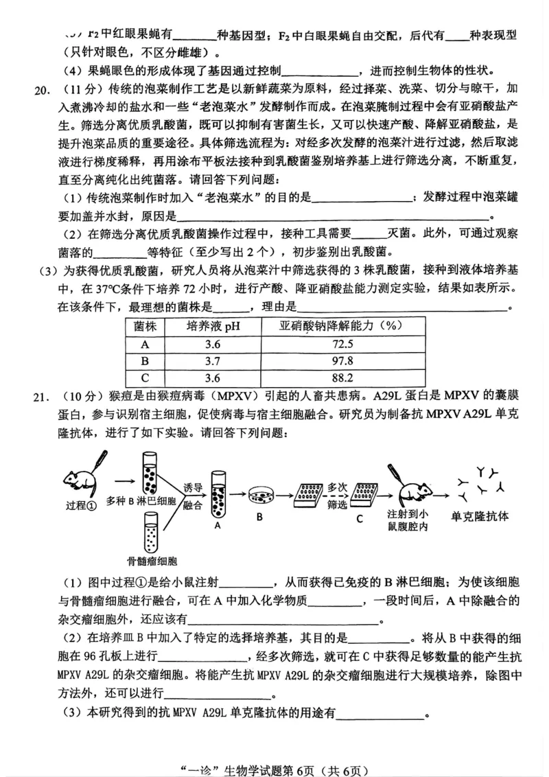 2025届四川省南充市高三第一次诊断考-生物试题+答案_2024-2025高三（6-6月题库）_2024年10月试卷_1012四川省南充市2025届高三高考适应性考试（一诊）