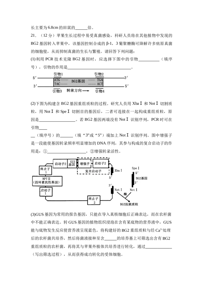 2025届湖南省衡阳市衡阳县第一中学高三上学期第一次模拟考试生物学试题(含答案）_2024-2025高三（6-6月题库）_2024年12月试卷