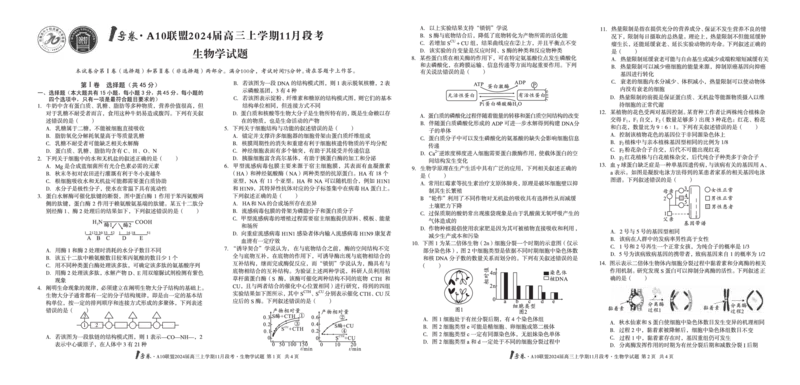 1号卷&middot;A10联盟2024届高三上学期11月段考生物学(1)_2023年11月_0211月合集_2024届安徽省A10联盟高三上学期11月段考_安徽省A10联盟2024届高三上学期11月段考生物