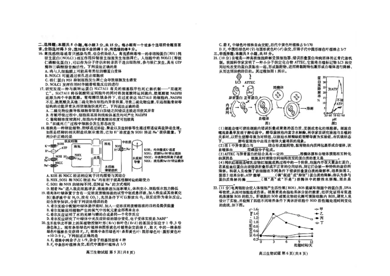 2025届山东省新高考联合质量测评高三上学期9月联考生物+答案_2024-2025高三（6-6月题库）_2024年09月试卷_09072025届山东省新高考联合质量测评高三上学期9月联考