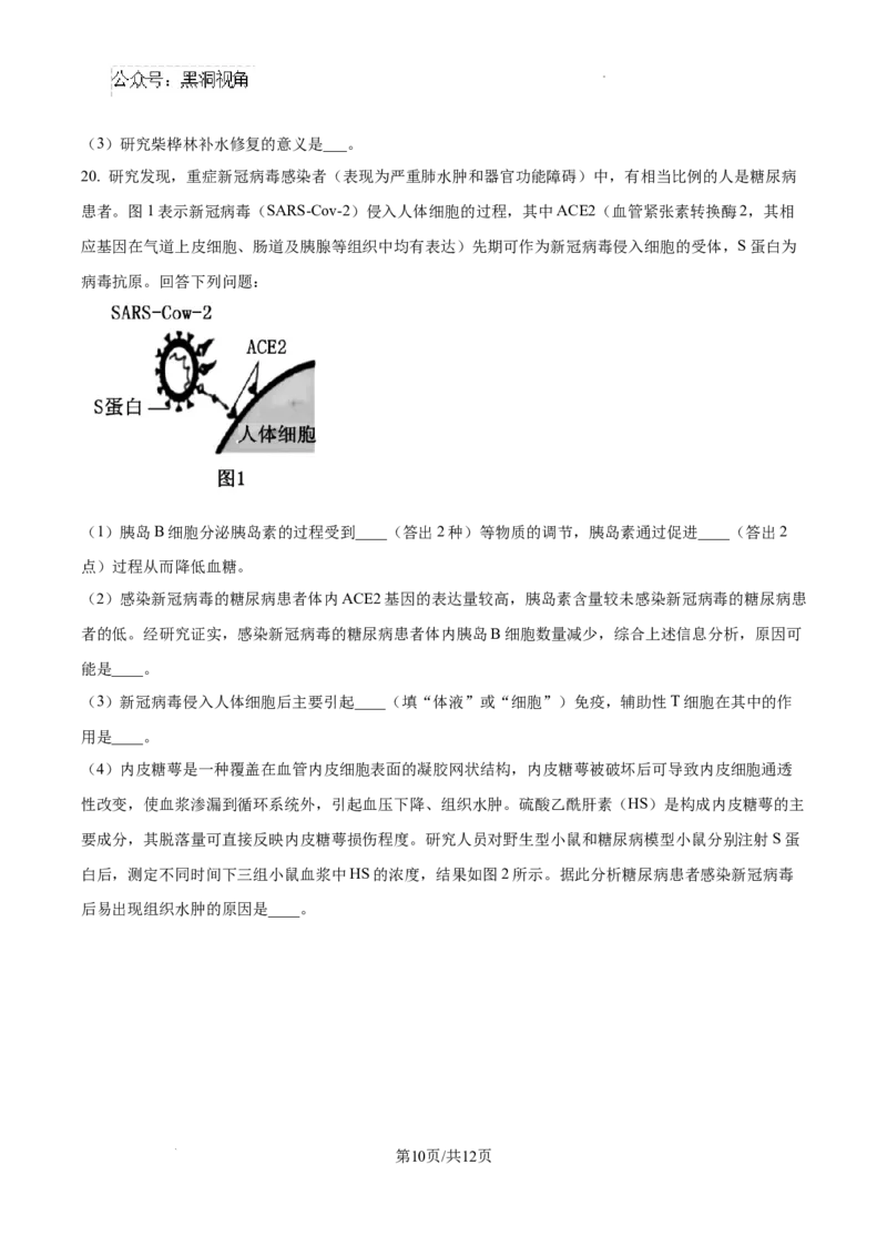 2025届广东省联考高三上学期10月第一次模拟（一模）生物试题_2024-2025高三（6-6月题库）_2024年10月试卷_1020广东省（雷州市龙门中学、客路中学）两校2025届高三10月第一次模拟考试
