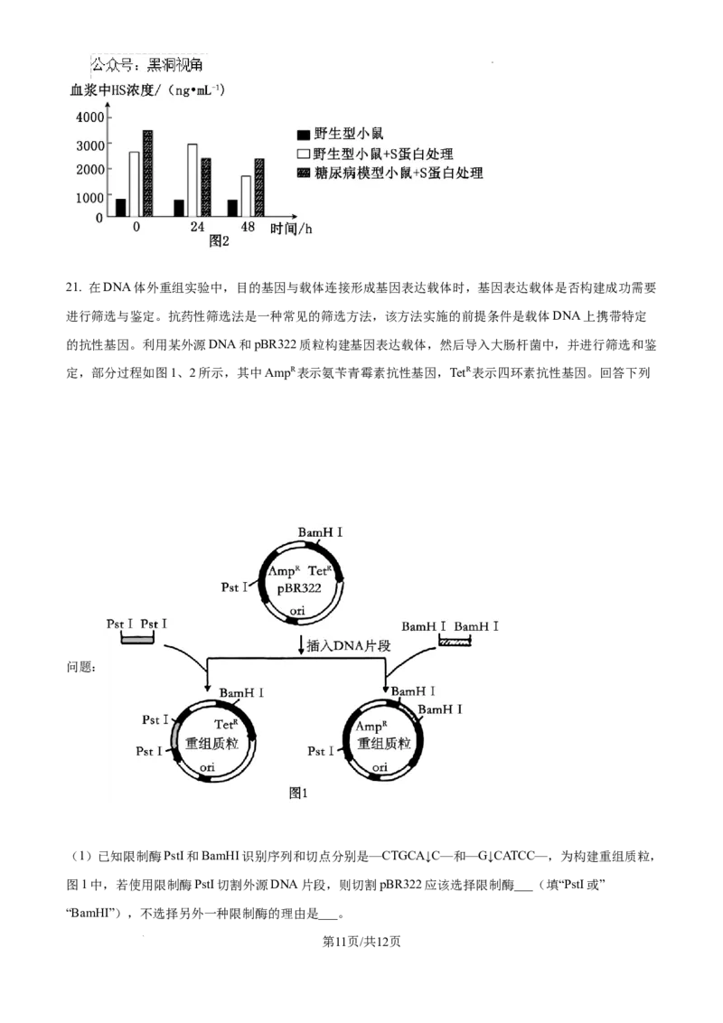 2025届广东省联考高三上学期10月第一次模拟（一模）生物试题_2024-2025高三（6-6月题库）_2024年10月试卷_1020广东省（雷州市龙门中学、客路中学）两校2025届高三10月第一次模拟考试