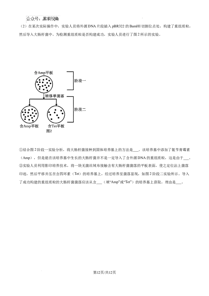 2025届广东省联考高三上学期10月第一次模拟（一模）生物试题_2024-2025高三（6-6月题库）_2024年10月试卷_1020广东省（雷州市龙门中学、客路中学）两校2025届高三10月第一次模拟考试