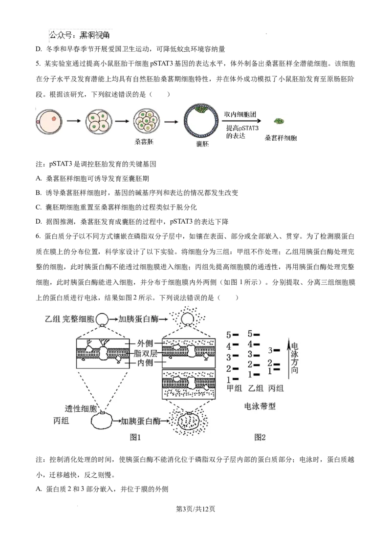 2025届广东省联考高三上学期10月第一次模拟（一模）生物试题_2024-2025高三（6-6月题库）_2024年10月试卷_1020广东省（雷州市龙门中学、客路中学）两校2025届高三10月第一次模拟考试