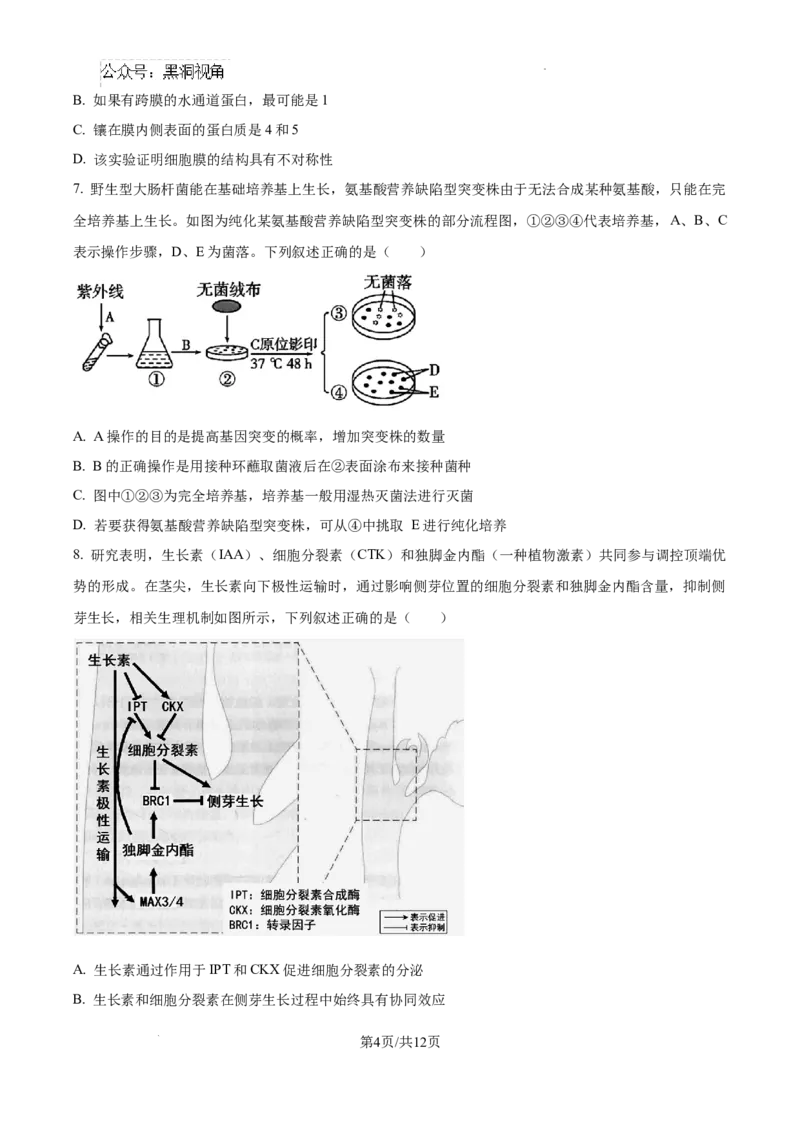 2025届广东省联考高三上学期10月第一次模拟（一模）生物试题_2024-2025高三（6-6月题库）_2024年10月试卷_1020广东省（雷州市龙门中学、客路中学）两校2025届高三10月第一次模拟考试