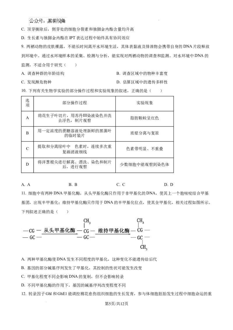 2025届广东省联考高三上学期10月第一次模拟（一模）生物试题_2024-2025高三（6-6月题库）_2024年10月试卷_1020广东省（雷州市龙门中学、客路中学）两校2025届高三10月第一次模拟考试