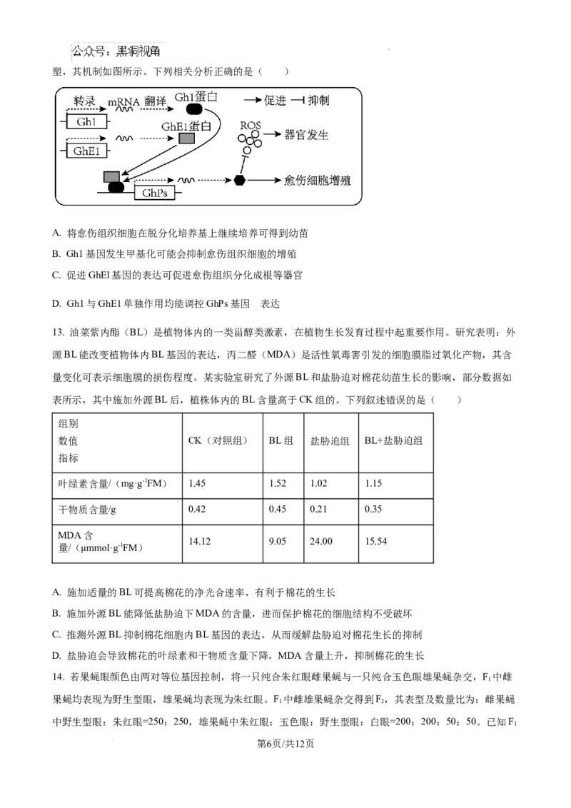 2025届广东省联考高三上学期10月第一次模拟（一模）生物试题_2024-2025高三（6-6月题库）_2024年10月试卷_1020广东省（雷州市龙门中学、客路中学）两校2025届高三10月第一次模拟考试