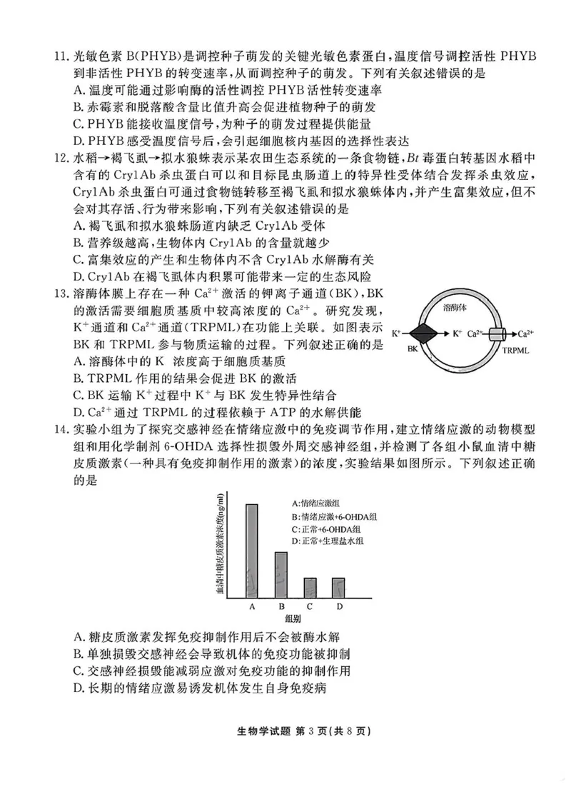 2025届广东衡水金卷高三8月摸底联考生物试题+答案_2024-2025高三（6-6月题库）_2024年08月试卷_0828广东衡水金卷2025届高三年级摸底联考