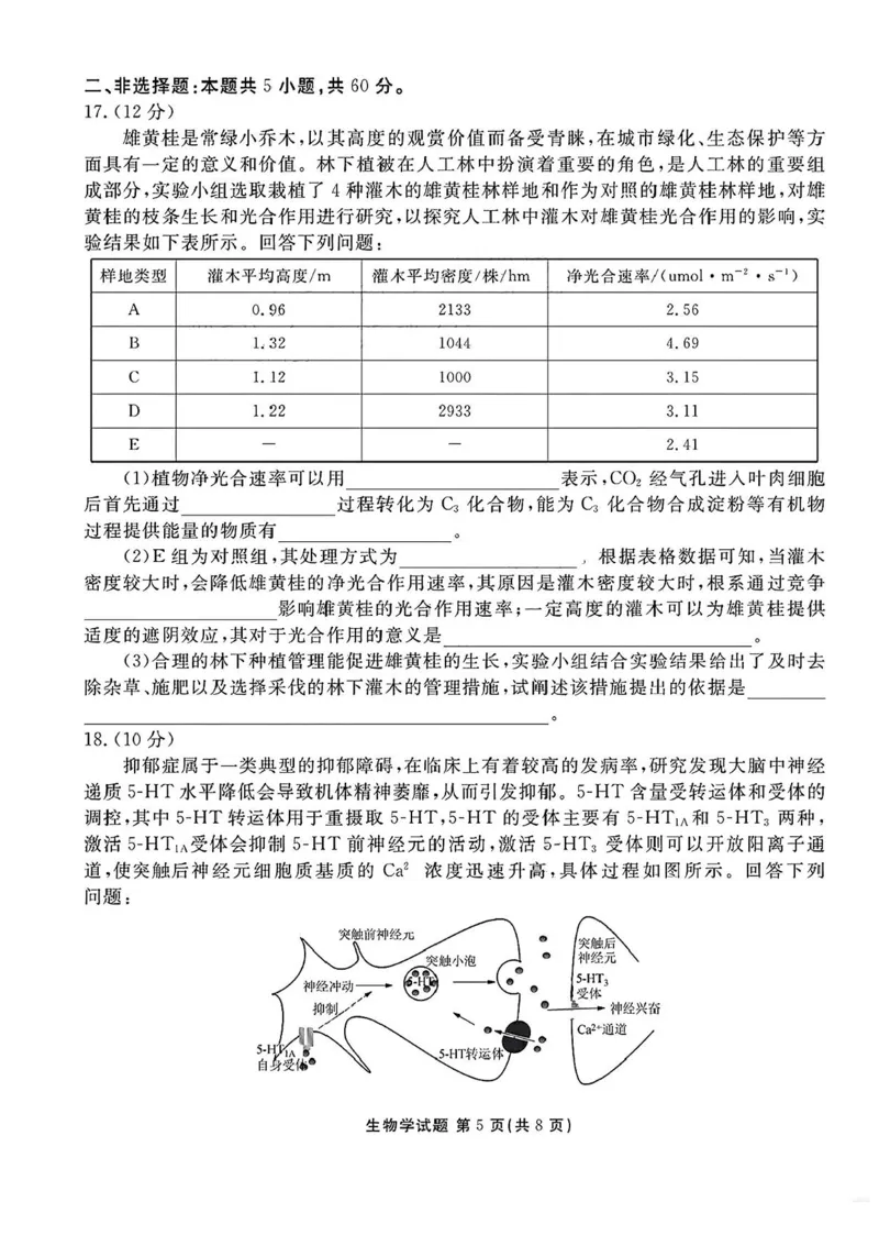 2025届广东衡水金卷高三8月摸底联考生物试题+答案_2024-2025高三（6-6月题库）_2024年08月试卷_0828广东衡水金卷2025届高三年级摸底联考