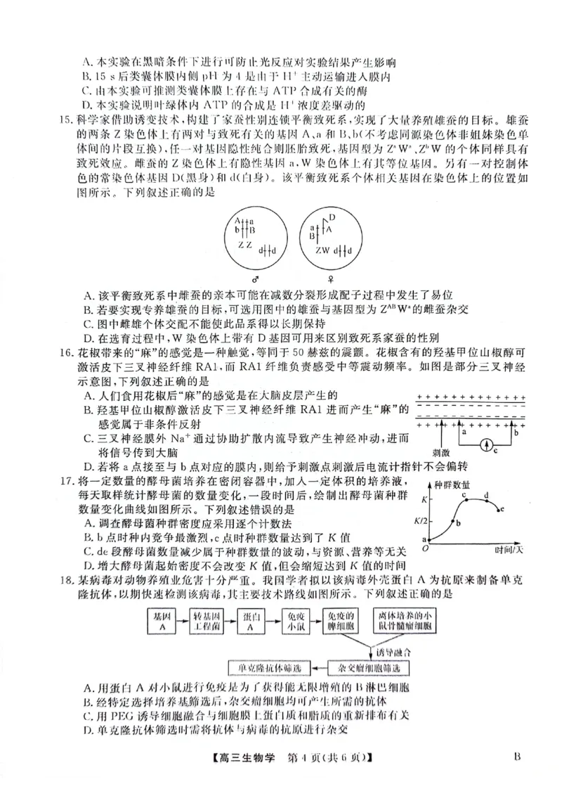 河北金科大联考2024届高三4月质量检测生物试题_2024年4月_01按日期_19号_2024届河北金科大联考高三4月质量检测_河北金科大联考2024届高三4月质量检测生物