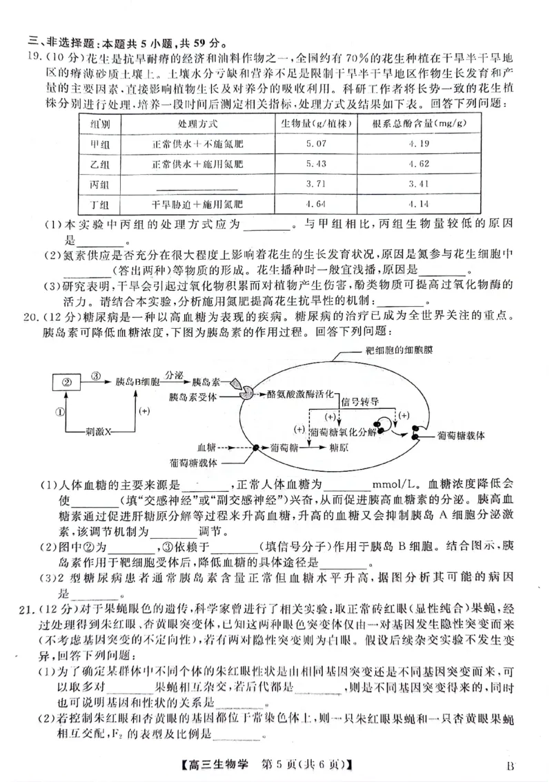 河北金科大联考2024届高三4月质量检测生物试题_2024年4月_01按日期_19号_2024届河北金科大联考高三4月质量检测_河北金科大联考2024届高三4月质量检测生物