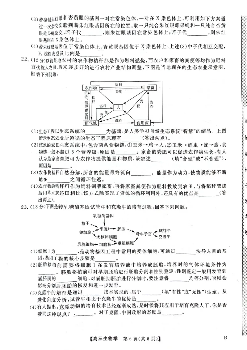 河北金科大联考2024届高三4月质量检测生物试题_2024年4月_01按日期_19号_2024届河北金科大联考高三4月质量检测_河北金科大联考2024届高三4月质量检测生物