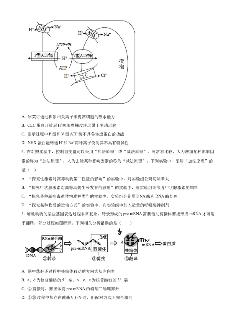 湖南省长沙市长郡中学2023-2024学年高三下学期二模生物试题Word版无答案(1)_2024年4月_024月合集_2024届湖南省长沙市长郡中学高三下学期二模