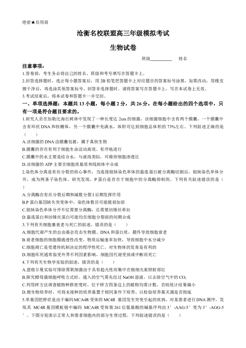河北省沧衡名校联盟2023-2024学年高三下学期模拟考试（期中）生物试题+答案(1)_2024年5月_025月合集_2024届河北沧衡名校联盟高三下学期模拟考试（期中）