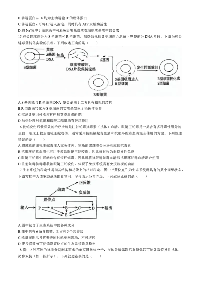 河北省沧衡名校联盟2023-2024学年高三下学期模拟考试（期中）生物试题+答案(1)_2024年5月_025月合集_2024届河北沧衡名校联盟高三下学期模拟考试（期中）